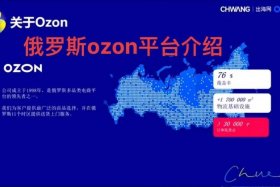 俄罗斯电商平台ozon入驻条件（俄罗斯电商平台ozon入驻条件能卖药品吗）
