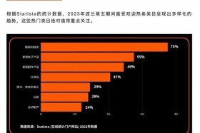 波兰电商平台allegro利润，波兰电商平台allegro怎么样
