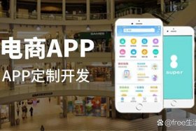电商app开发服务平台 电商app开发服务平台是什么