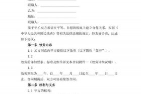 电商平台服务协议怎么弄 - 电商平台服务协议怎么弄出来