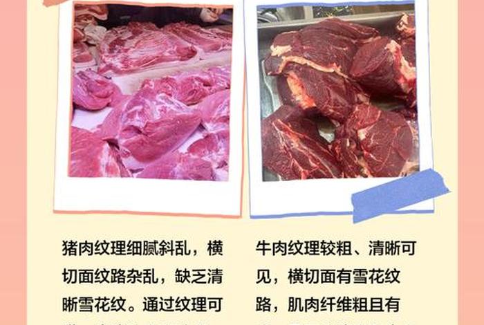 以猪肉冒充牛肉怎样处罚 猪肉冒充牛肉的处罚依据 以猪肉冒充牛肉怎样处罚 猪肉冒充牛肉的处罚依据