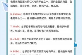 东南亚电商平台有哪些（东南亚电商平台有哪些公司）