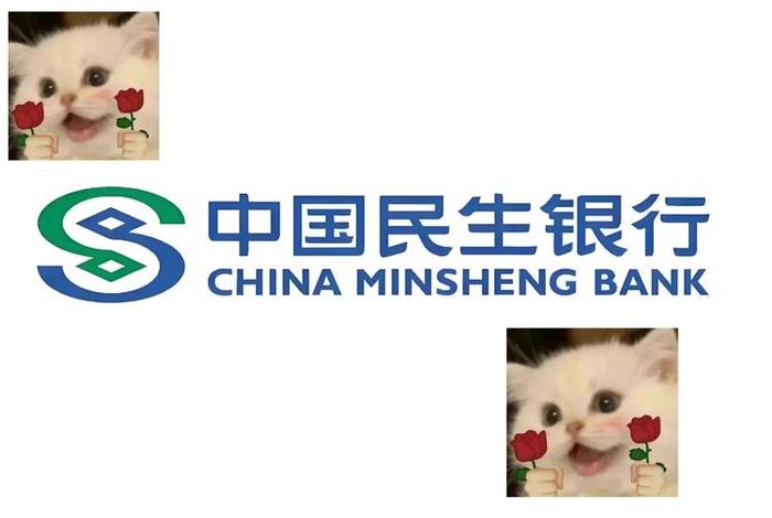 民生电商贷款；民生电商贷款好通过吗