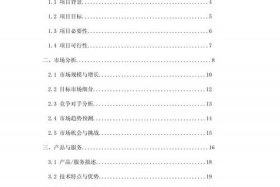 农村互联网创业项目计划书 - 农村互联网创业项目计划书模板