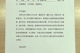 电商实习证明盖章 - 电商证明怎么开