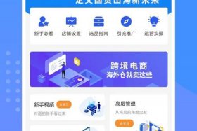 wish跨境电商运营模式，wish跨境电商运营模式是什么