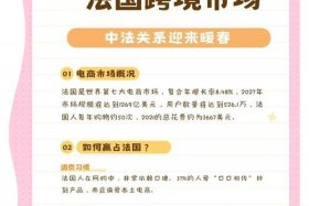 法国电商平台征税 法国电商平台征税多少