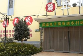 电商强强，电商强镇