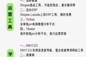 tiktok跨境电商平台介绍，TikTok跨境电商平台介绍PPT