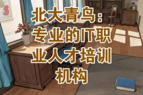 北大青鸟互联网培训机构；北大青鸟互联网培训机构在武汉有哪些校区