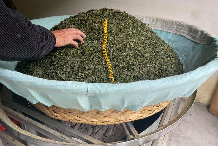 哪个平台买茶叶最可靠,哪个平台买茶叶最可靠的 哪个平台买茶叶最可靠,哪个平台买茶叶最可靠的