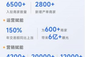 小红书电商平台，小红书电商平台抽成多少