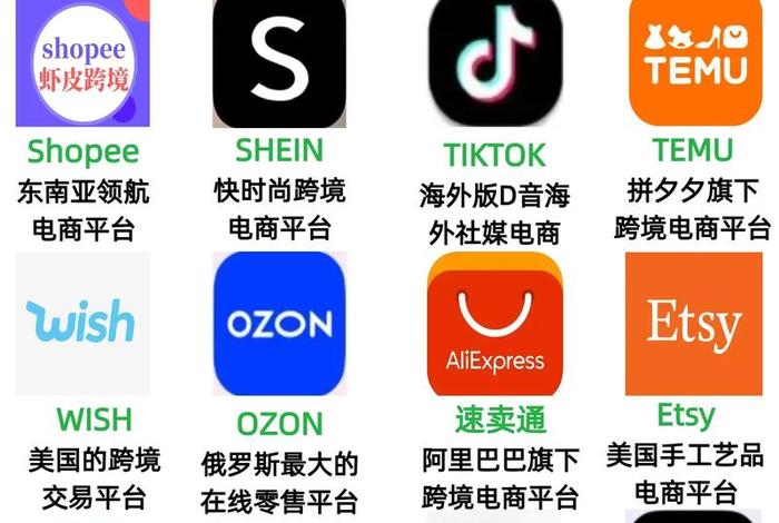 俄罗斯ozon电商平台介绍(俄罗斯电商平台ozon中文) 俄罗斯ozon电商平台介绍(俄罗斯电商平台ozon中文)