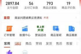 做电商怎么做才能快速出单，做电商怎么做才能快速出单子