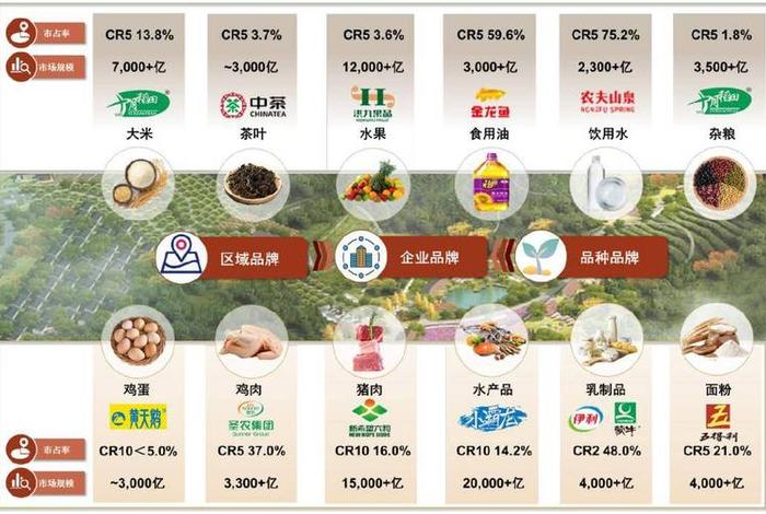 农产品电商产业链 农产品电商产业链有哪些 农产品电商产业链 农产品电商产业链有哪些