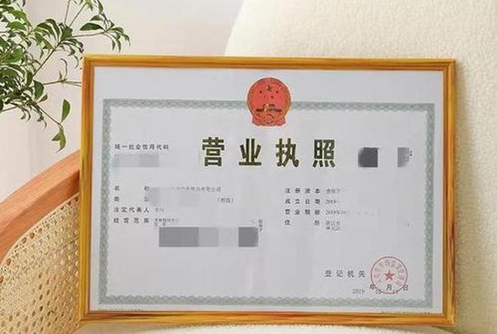 代运营公司营业范围 代运营公司营业执照经营范围