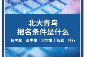 北大青鸟电子商务 - 北大青鸟电子商务读几年