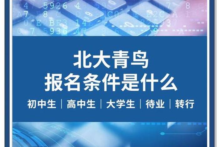 北大青鸟电子商务 - 北大青鸟电子商务读几年 北大青鸟电子商务 - 北大青鸟电子商务读几年