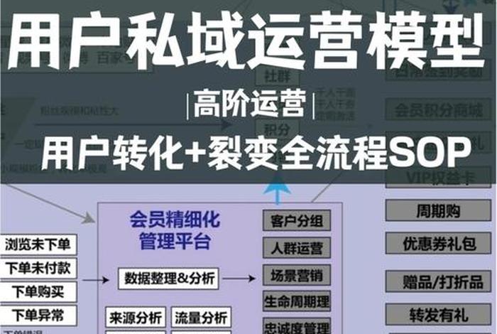 电商转化 - 电商转化模型