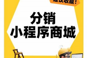 电商分销平台是什么意思、电商分销平台是什么意思啊