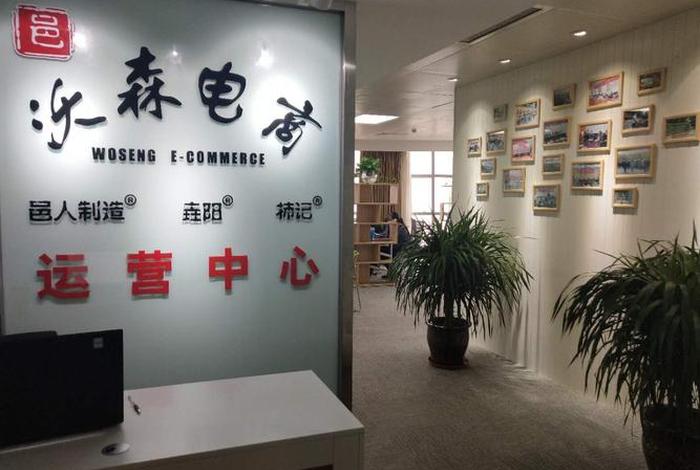 盛电商官网登录入口;盛品电子商务有限公司 盛电商官网登录入口;盛品电子商务有限公司