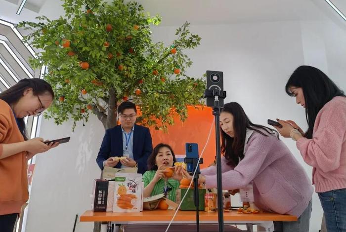 电商网红培训 - 电商网红培训学校