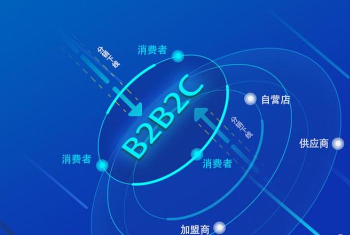 b2c电商平台有哪些平台(b2c电商平台有哪些平台类型) b2c电商平台有哪些平台(b2c电商平台有哪些平台类型)