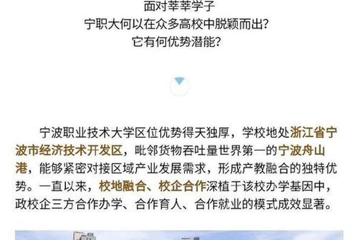 宁波跨境电商学院(宁波跨境电商学院是大专吗) 宁波跨境电商学院(宁波跨境电商学院是大专吗)