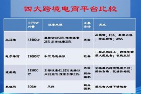 跨境电商营销推广第2版ppt - 跨境电商营销推广第2版课后答案