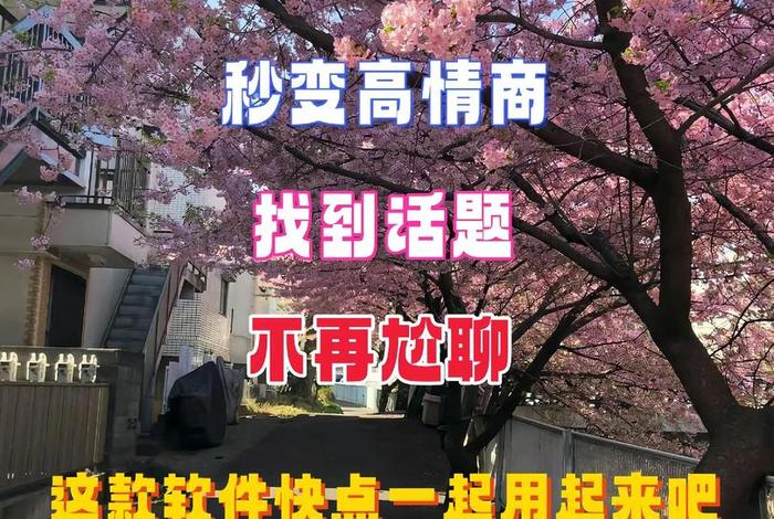 电商聊天神器回话软件、电商聊天神器回话软件哪个好 电商聊天神器回话软件、电商聊天神器回话软件哪个好