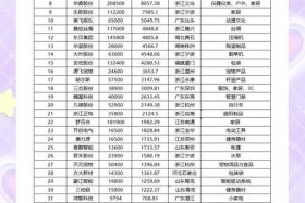 深圳跨境电商公司排名（深圳跨境电商公司排名前十）