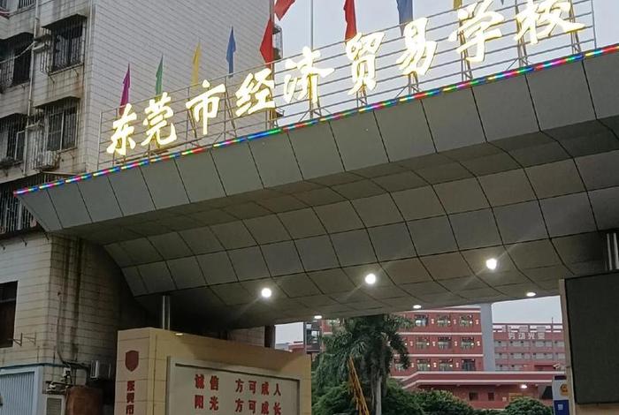 东莞学电商哪一家学校好(东莞学电商哪一家学校好一点) 东莞学电商哪一家学校好(东莞学电商哪一家学校好一点)