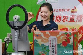 什么是农村电商直播，什么是农村电商直播平台