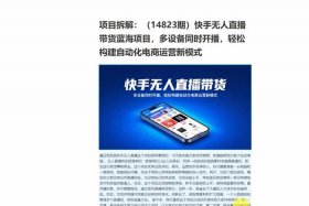 电商快手平台（电商快手平台的地址）