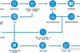 电商出口通关、电商出口通关流程