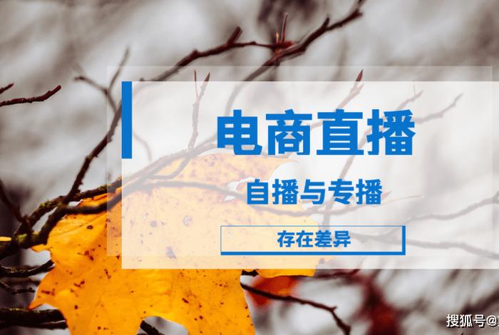 电商需要什么文凭(电商需要什么文凭才能考) 电商需要什么文凭(电商需要什么文凭才能考)