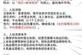 日本Temu是什么平台，日本temu是什么平台