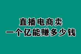 现在做啥电商最赚钱？、现在做啥电商最赚钱呢