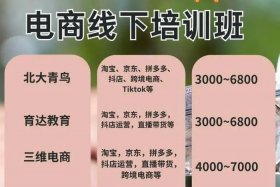 做电商培训机构哪家比较好 做电商培训机构哪家比较好一点