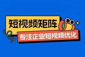 电商视频化是什么意思（电商短视频是什么意思）