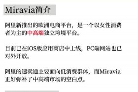 miravia跨境电商官网 mercari跨境电商