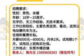 江西电商网络推广公司招聘 - 电商网站推广招聘