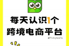 印尼电商平台排名 - 印尼电商平台排名榜