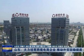 潍坊电商排名前十名 潍坊电商排名前十名企业