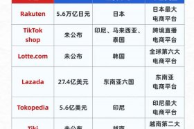 电商版跟实体版的区别；电商版跟实体版的区别在哪