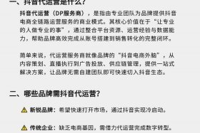 代运营电商是什么意思 - 代运营电商是什么意思啊