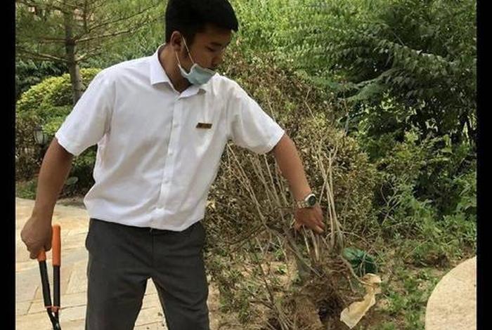 垄上电视台(垄上电视台节80岁老人住泵房) 垄上电视台(垄上电视台节80岁老人住泵房)