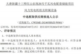 大唐电子商务平台招标结果（大唐电子商务平台招标结果公布）