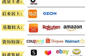 wish跨境电商平台现状、wish跨境电商平台现状怎么样