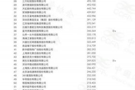 中国电商排名2024；中国电商排名前100